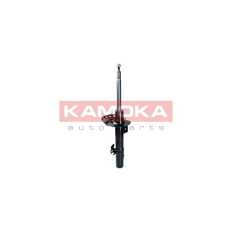Amortizor KAMOKA 2000459