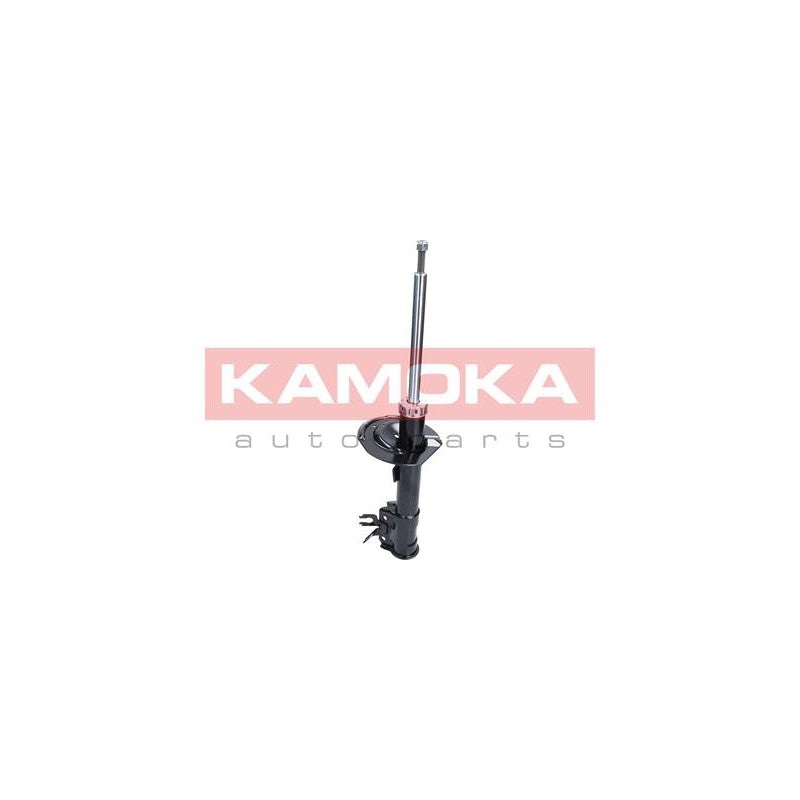 Amortizor KAMOKA 2000206