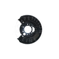 Aparatoare disc frana AIC 55098