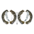 Set saboti frana DAVID VASCO W8637