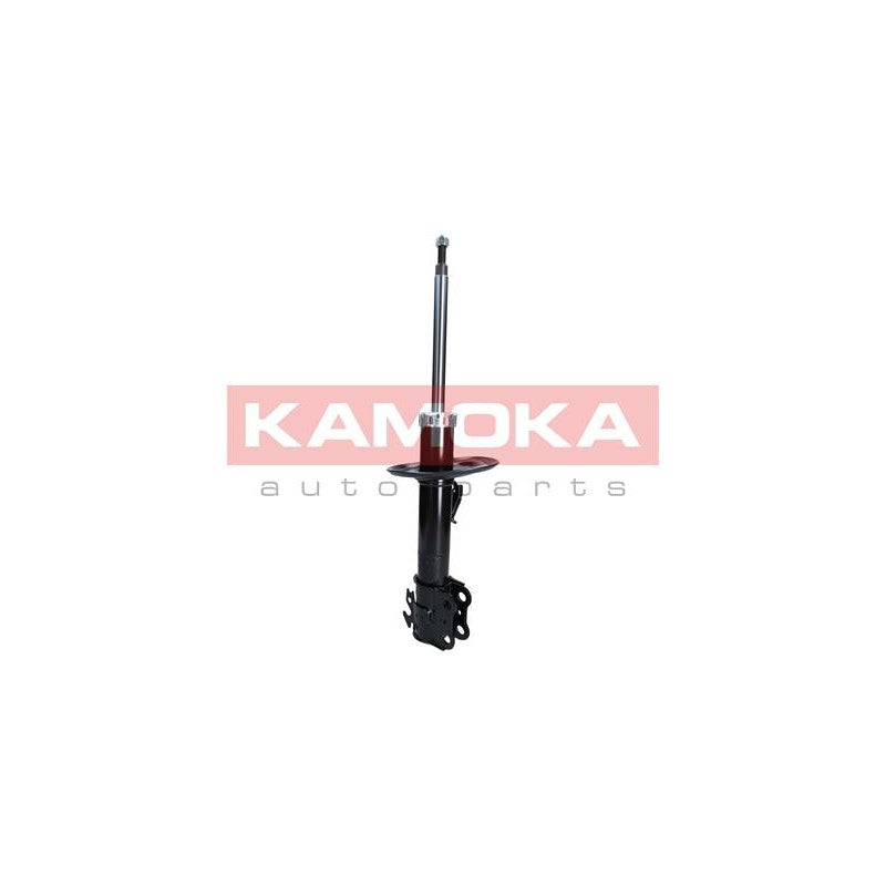 Amortizor KAMOKA 2000255