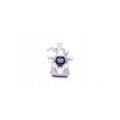 Etrier frana MTR 12139008