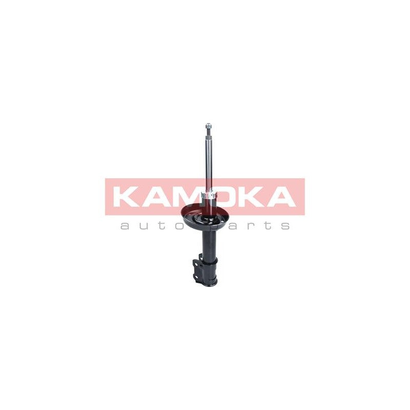 Amortizor KAMOKA 2000297