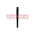 Amortizor Ashika MA-01045