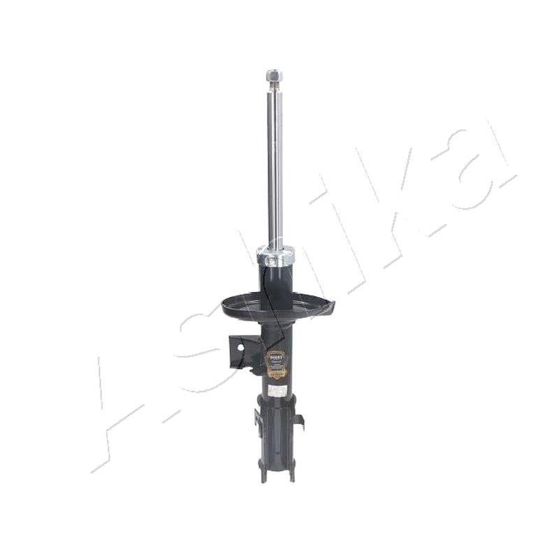 Amortizor Ashika MA-80003