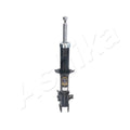 Amortizor Ashika MA-80005