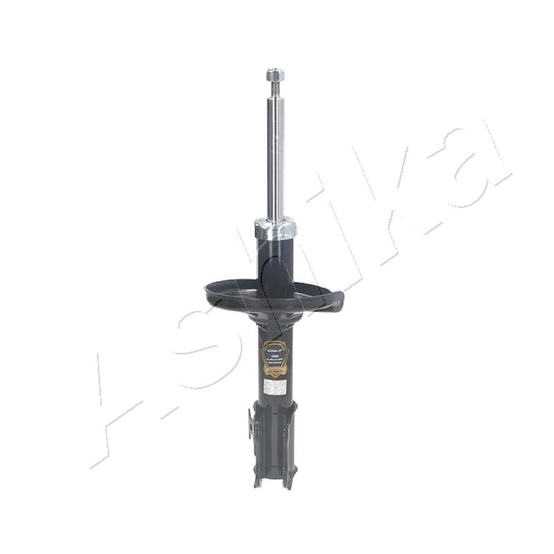 Amortizor Ashika MA-80010