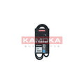 Curea transmisie caneluri KAMOKA 7016093