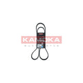 Curea transmisie caneluri KAMOKA 7016113