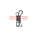 Curea transmisie caneluri KAMOKA 7016193