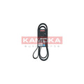 Curea transmisie caneluri KAMOKA 7016236