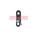 Curea transmisie caneluri KAMOKA 7016245