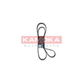 Curea transmisie caneluri KAMOKA 7017037