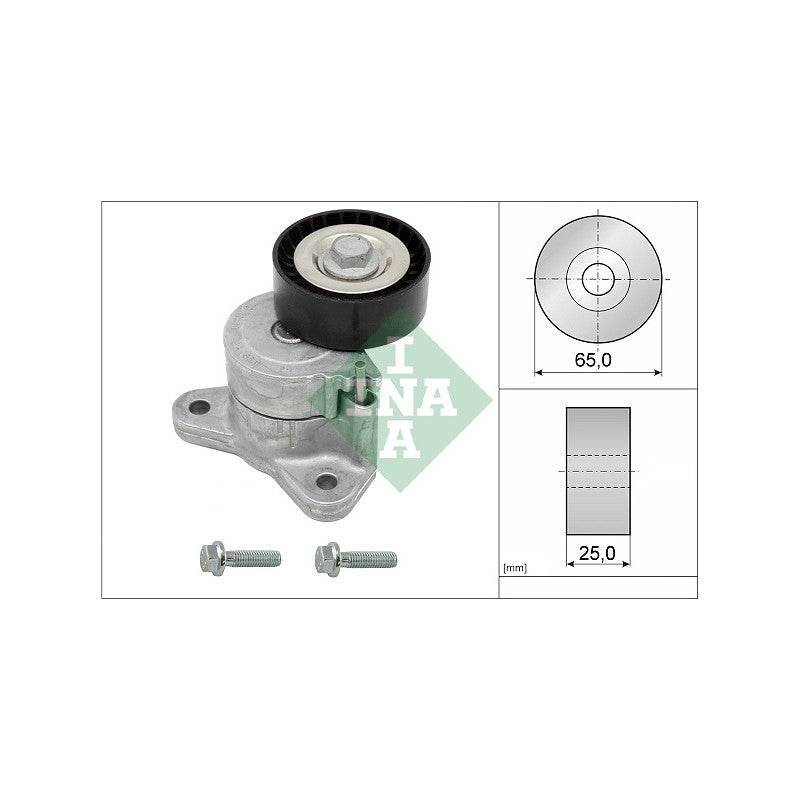 Intinzator curea accesorii INA 534 0325 10