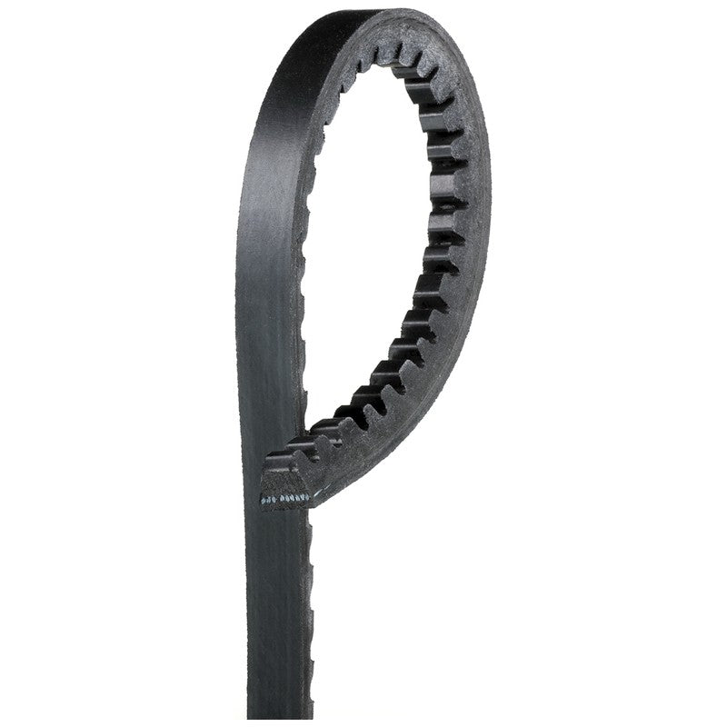 Curea trapezoidala GATES 6281MC