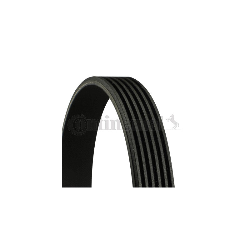 Curea transmisie caneluri CONTINENTAL CTAM 6PK1413