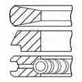 Set segmenti GOETZE 08-424000-00