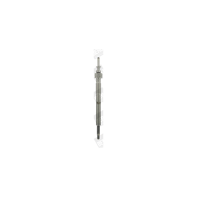 Bujie incandescenta BorgWarner (BERU) GN104