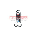 Curea transmisie caneluri KAMOKA 7015051
