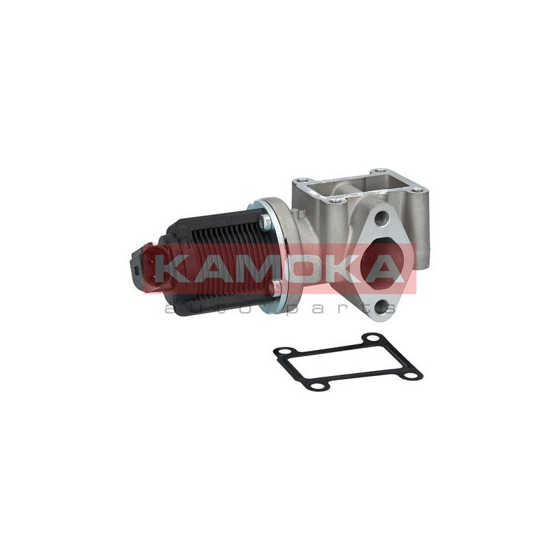 Supapa EGR KAMOKA 19013