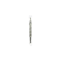 Bujie incandescenta BorgWarner (BERU) GN041