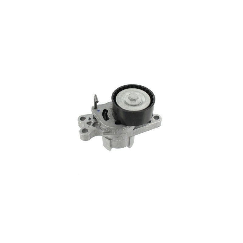 Intinzator curea accesorii MTR 12171565