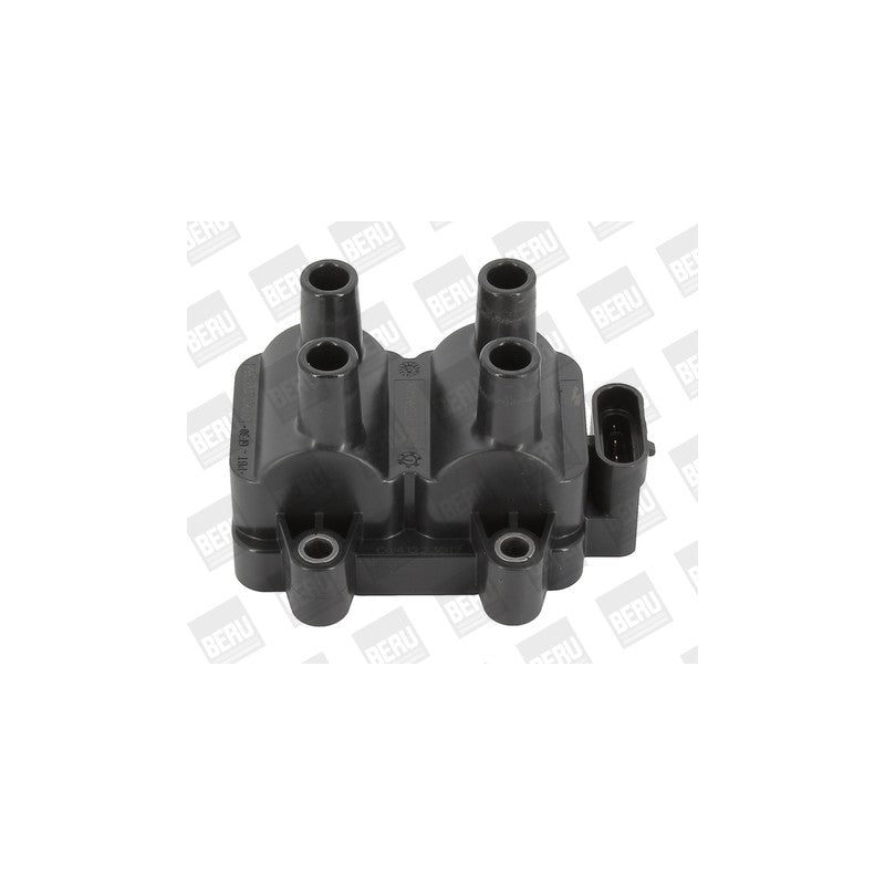 Bobina inductie BorgWarner (BERU) ZS354
