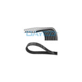 Curea transmisie caneluri DAYCO 7PK1557S
