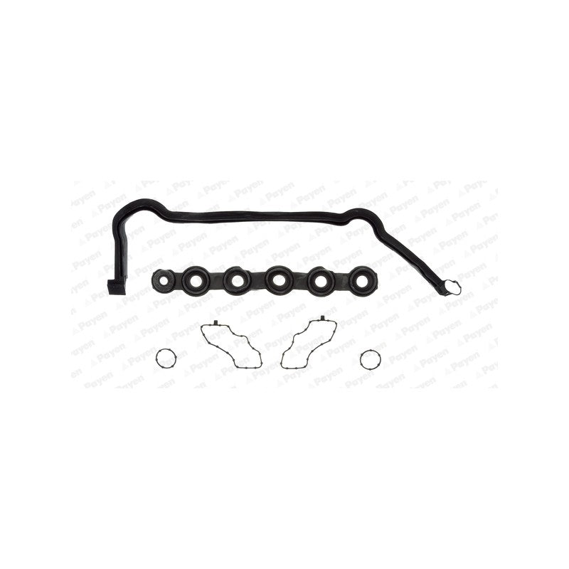 Set garnituri capac culbutori PAYEN HM5291