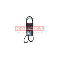 Curea transmisie caneluri KAMOKA 7016086