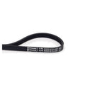 Curea transmisie caneluri CONTINENTAL CTAM 4PK830 ELAST
