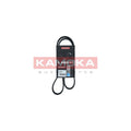 Curea transmisie caneluri KAMOKA 7016055