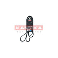 Curea transmisie caneluri KAMOKA 7016223
