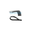 Curea transmisie caneluri DAYCO 4PK788