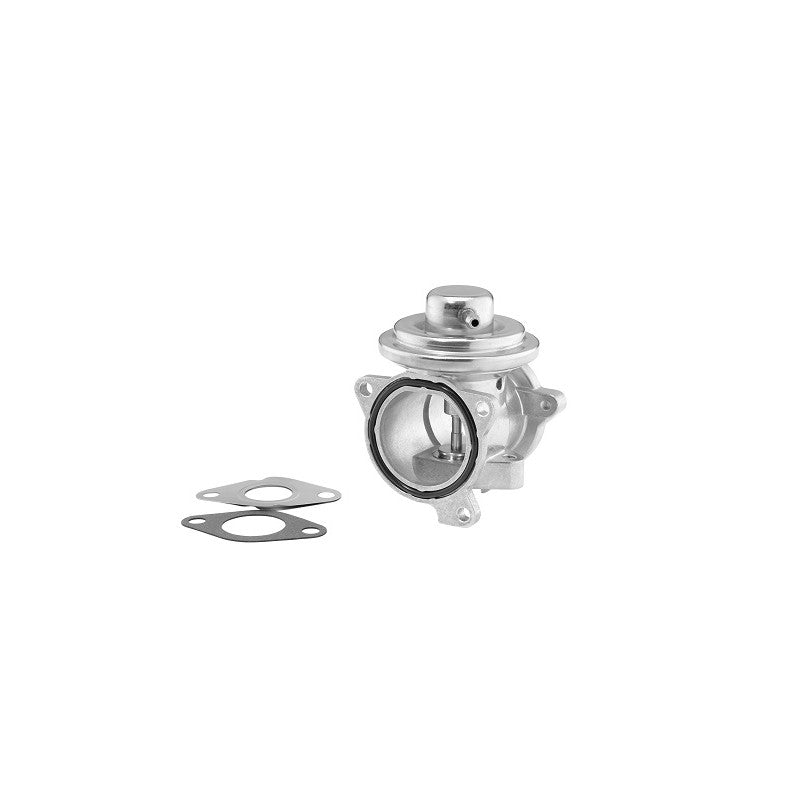 Supapa EGR BorgWarner 7271D