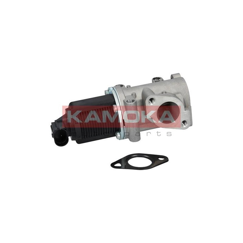 Supapa EGR KAMOKA 19014