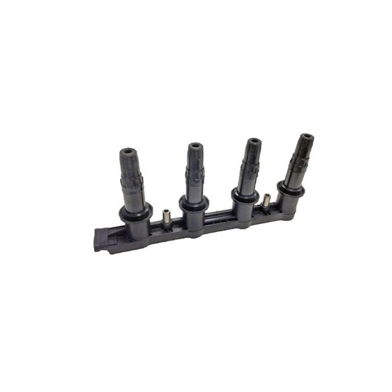 Bobina inductie MTR 12194859