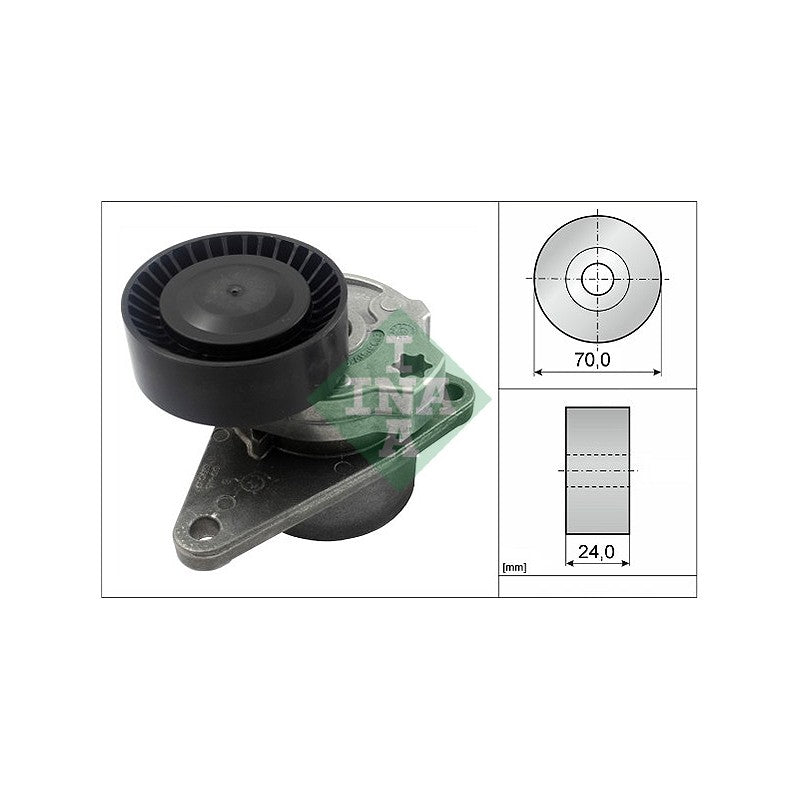 Intinzator curea accesorii INA 534 0103 10
