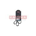 Curea transmisie caneluri KAMOKA 7017033