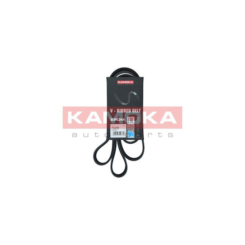 Curea transmisie caneluri KAMOKA 7017033
