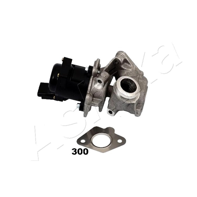 Supapa EGR Ashika 150-03-300