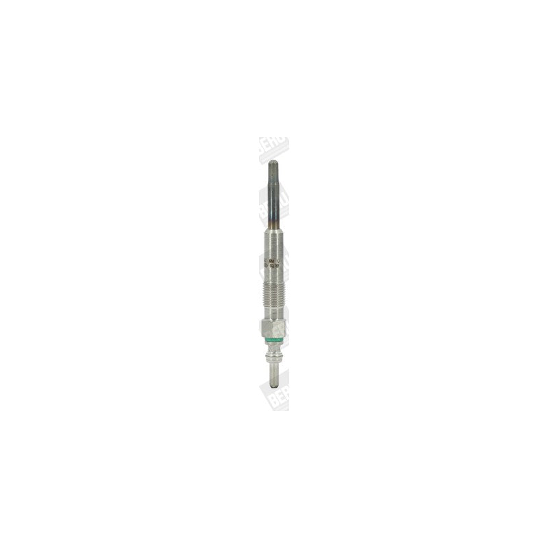 Bujie incandescenta BorgWarner (BERU) GN046