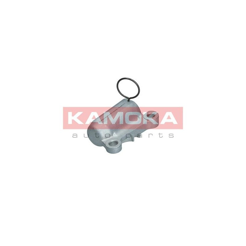 Amortizor vibratie curea distributie KAMOKA R8011