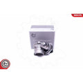 Corp clapeta acceleratie ESEN SKV 12SKV079