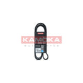 Curea transmisie caneluri KAMOKA 7016126