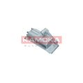 Amortizor vibratie curea distributie KAMOKA R8003