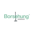 Supapa admisie BORSEHUNG B19026
