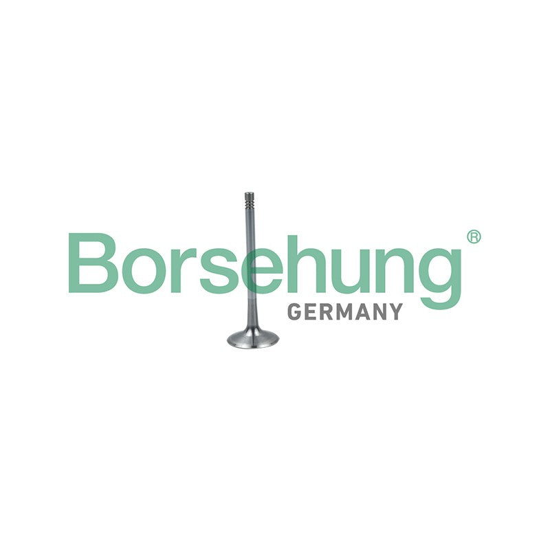 Supapa admisie BORSEHUNG B19026