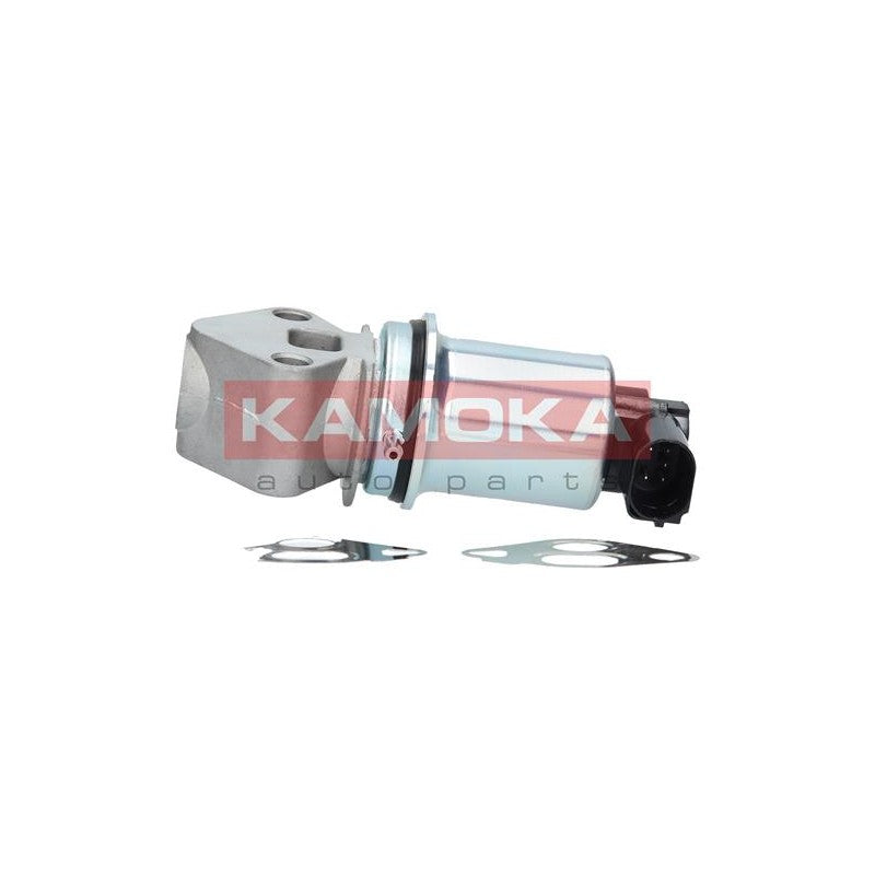 Supapa EGR KAMOKA 19017