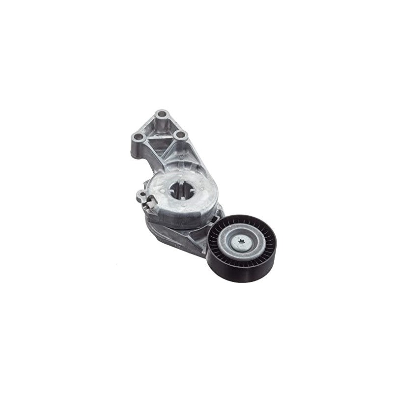 Parghie intinzator curea MTR 12164692